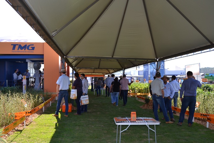 Paraná tem maior número de focos de ferrugem; há alternativas para o controle