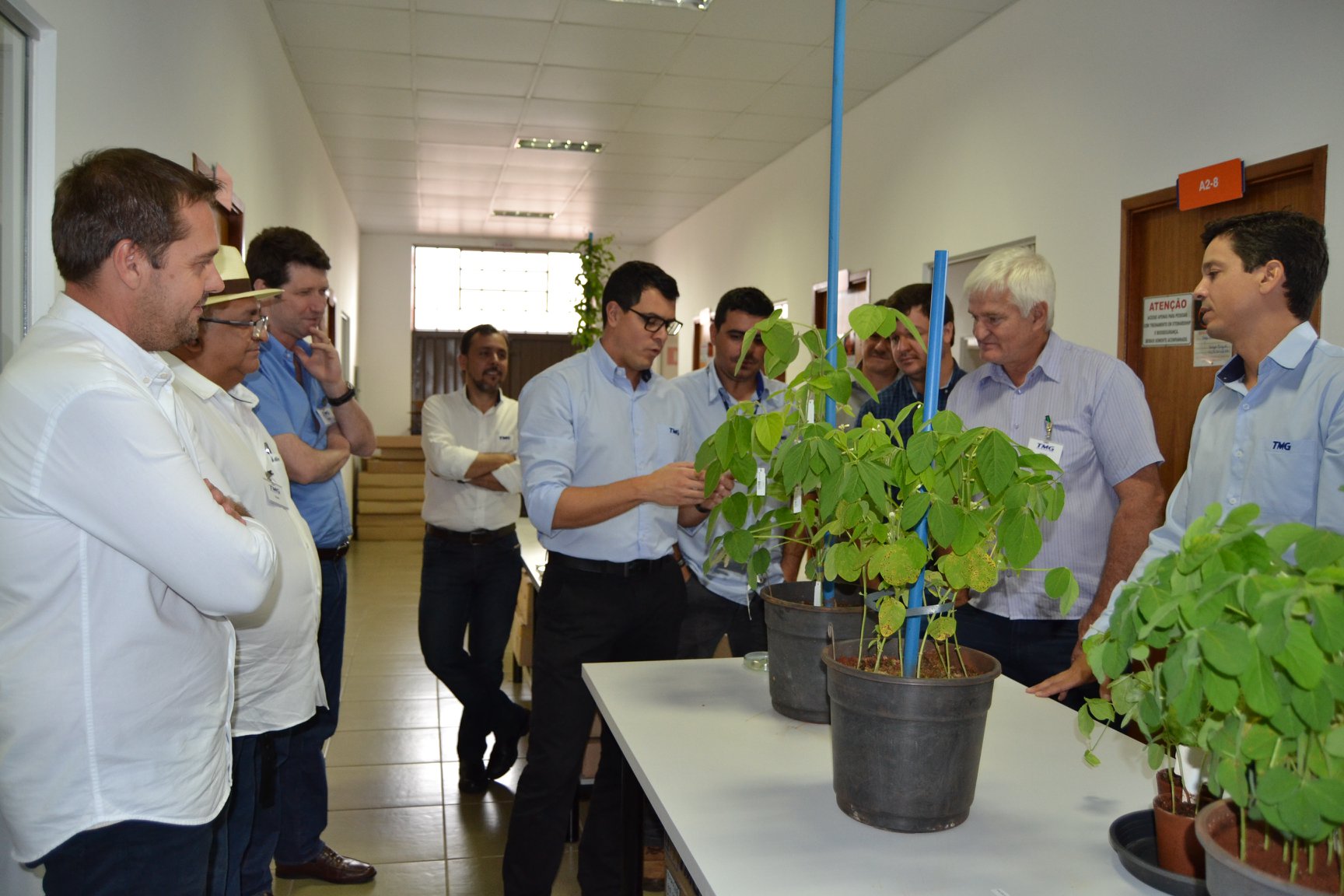 Dirigentes da Aprosoja-MT conhecem no PR tecnologia em genética da TMG