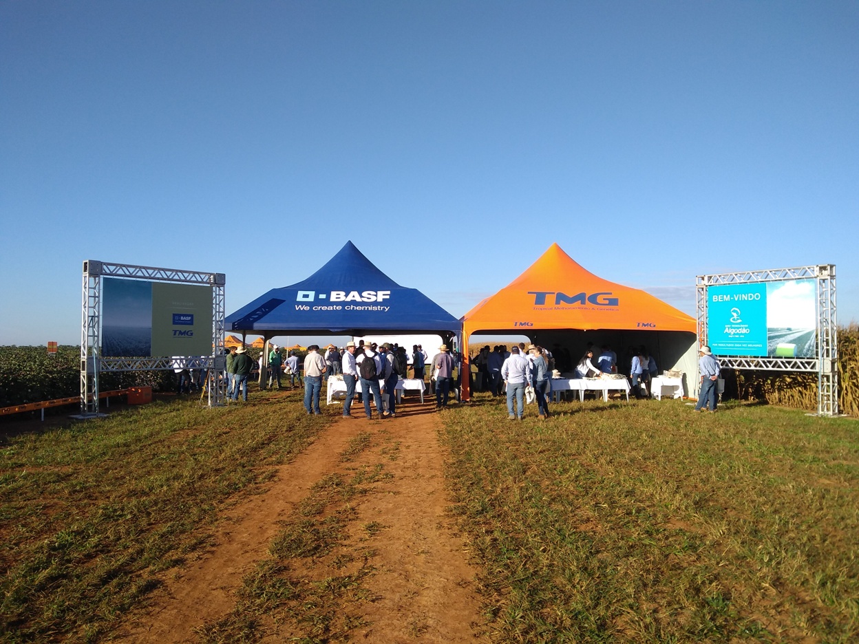 Giro Tecnológico promove debate sobre manejo de pragas e doenças no algodão