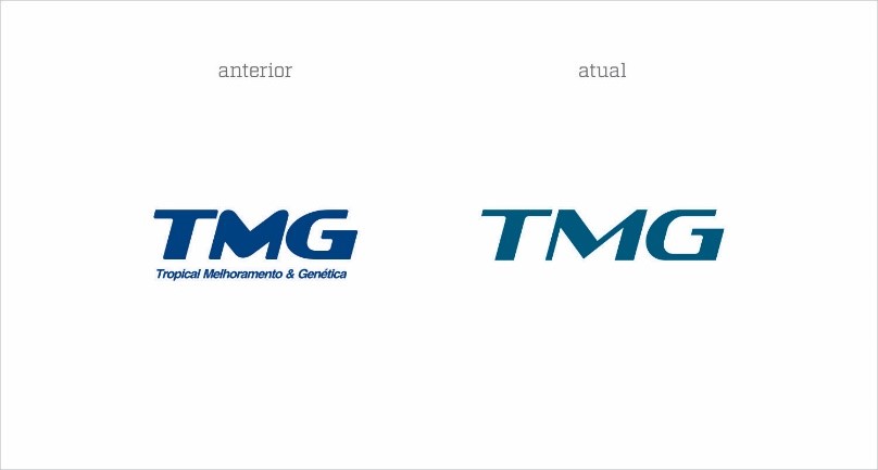 TMG redesenha sua marca e lança nova identidade visual