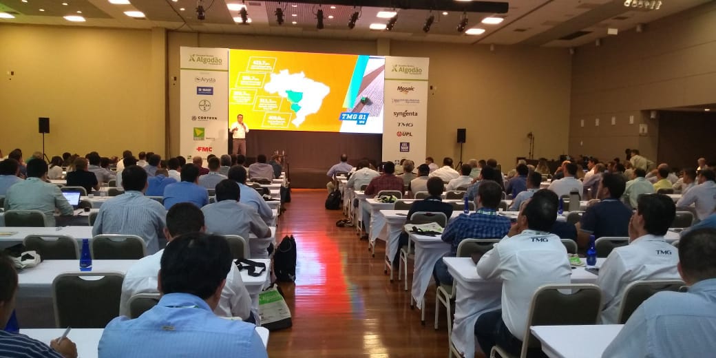 Algodão TMG cresce 66% de área plantada