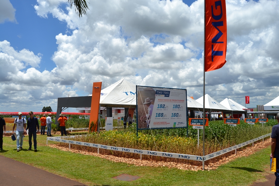 No Show Rural Coopavel, TMG apresenta três novas cultivares de soja para os produtores