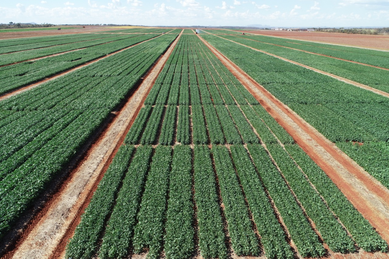 Nota de Esclarecimento