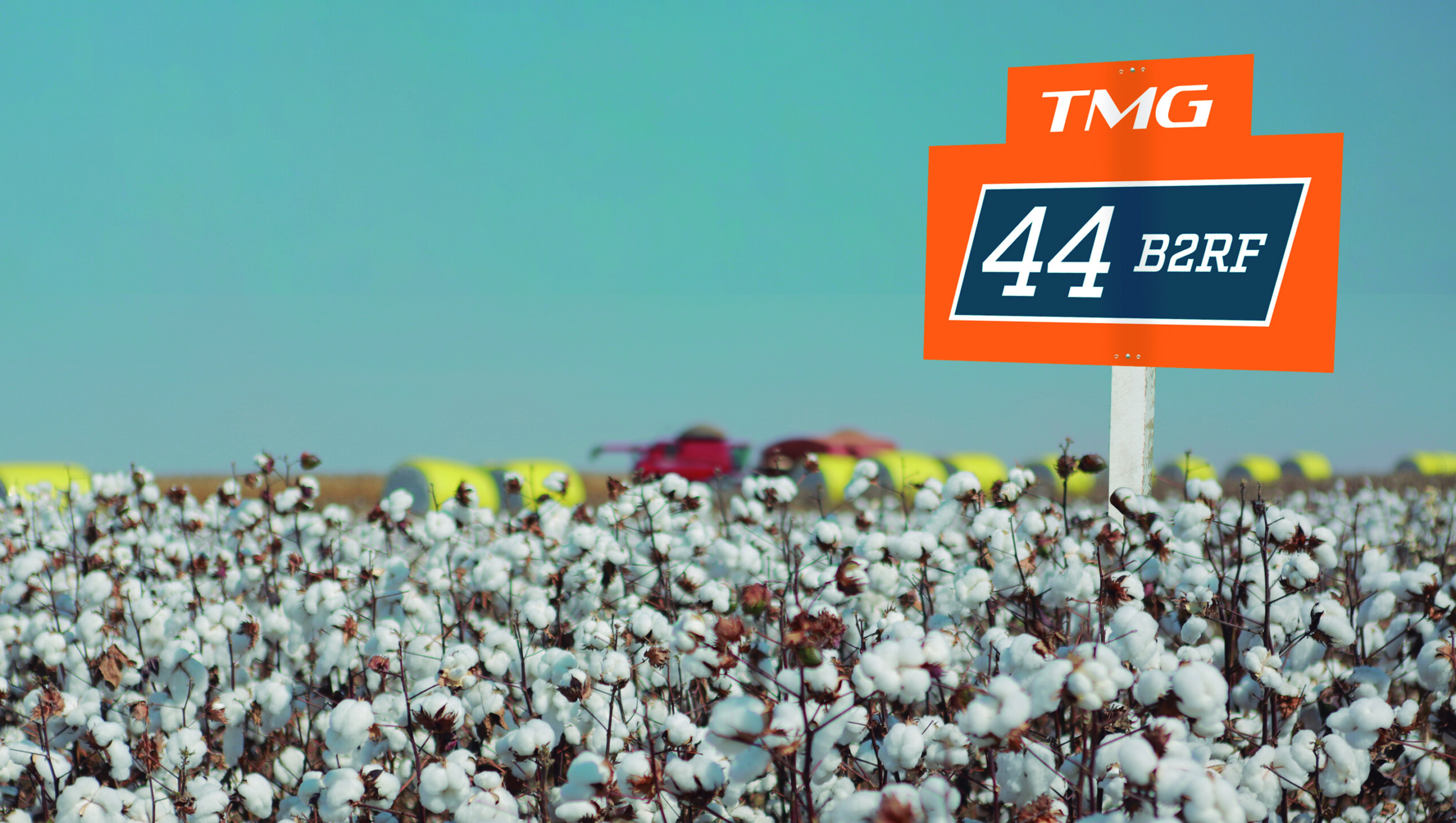 Cultivar TMG 44 B2RF é líder de plantio na safra 2019/20