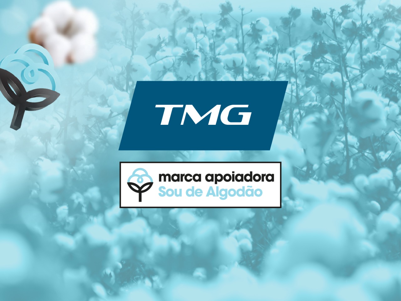 TMG – Sou de Algodão